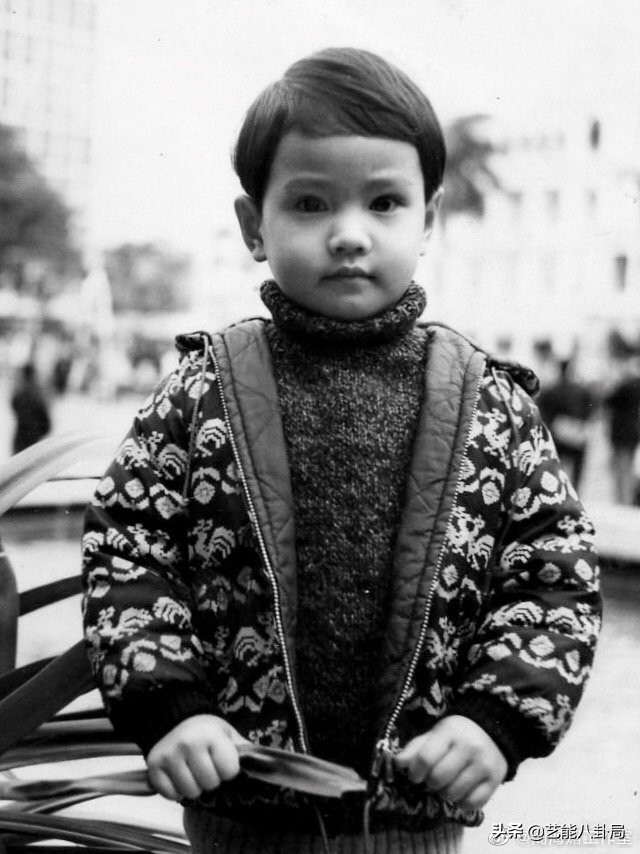 周海媚：巅峰期5个男人同时追，经历10年无效婚姻，55岁却仍单身