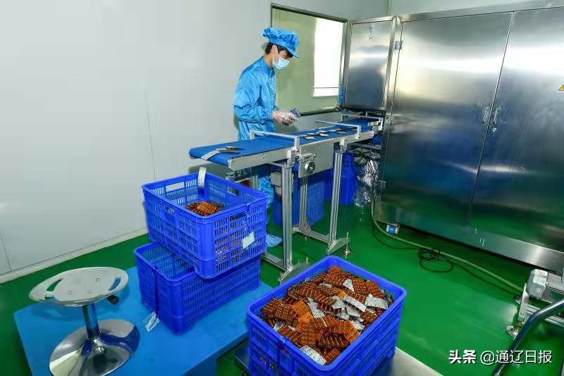 库伦蒙药厂：让蒙医药走向世界