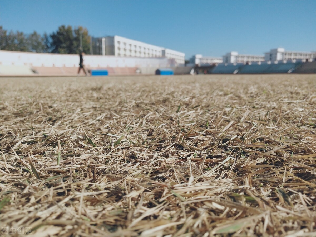 大类招生收分高吗？发展如何？选其4所开设大类招生的高校分析