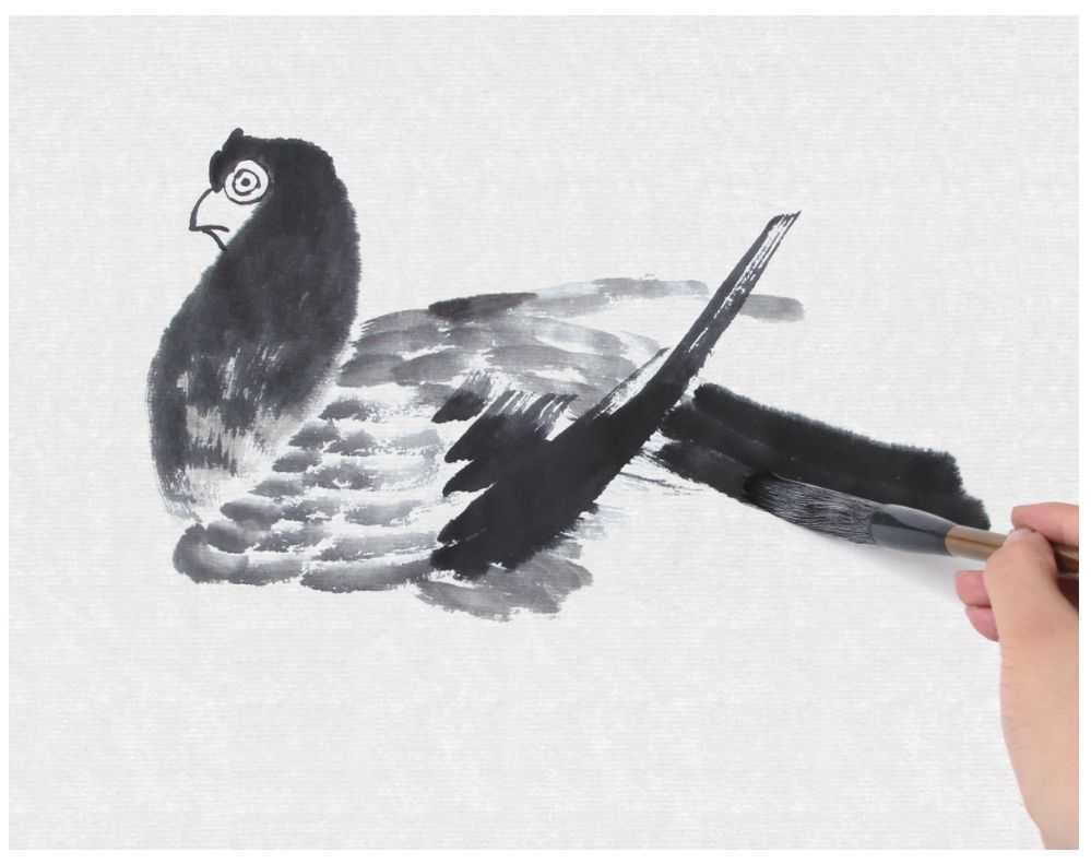 零基础国画教程：分步骤讲解鸽子画法，用浓淡相间的墨色画鸽子