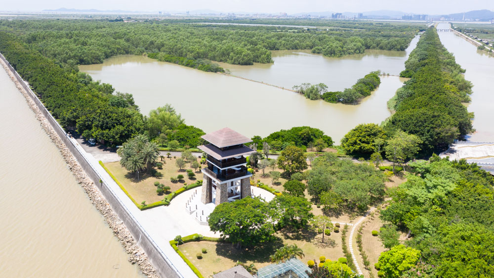 沙溪湿地公园图片