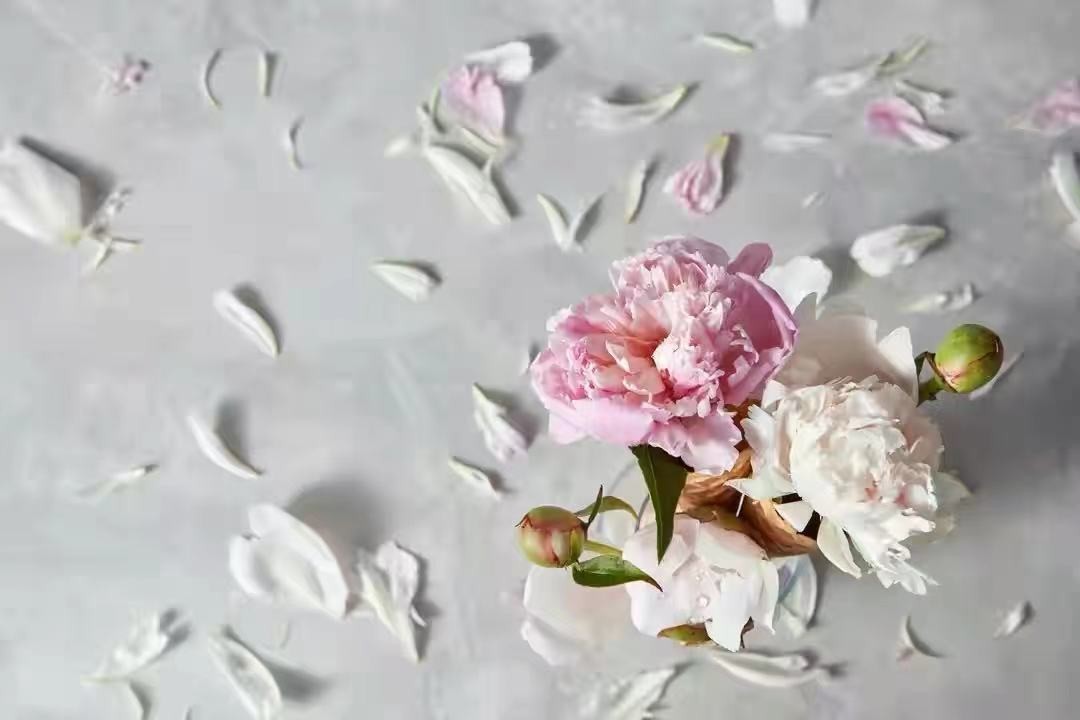 ����ѧ���������˼ʹ�ϵ���֣����������ֺã��������ػƽ�ԭ��