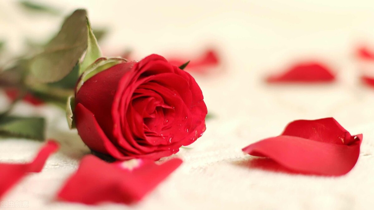 京喜无货源如何选品？产品需要具备哪些特点？