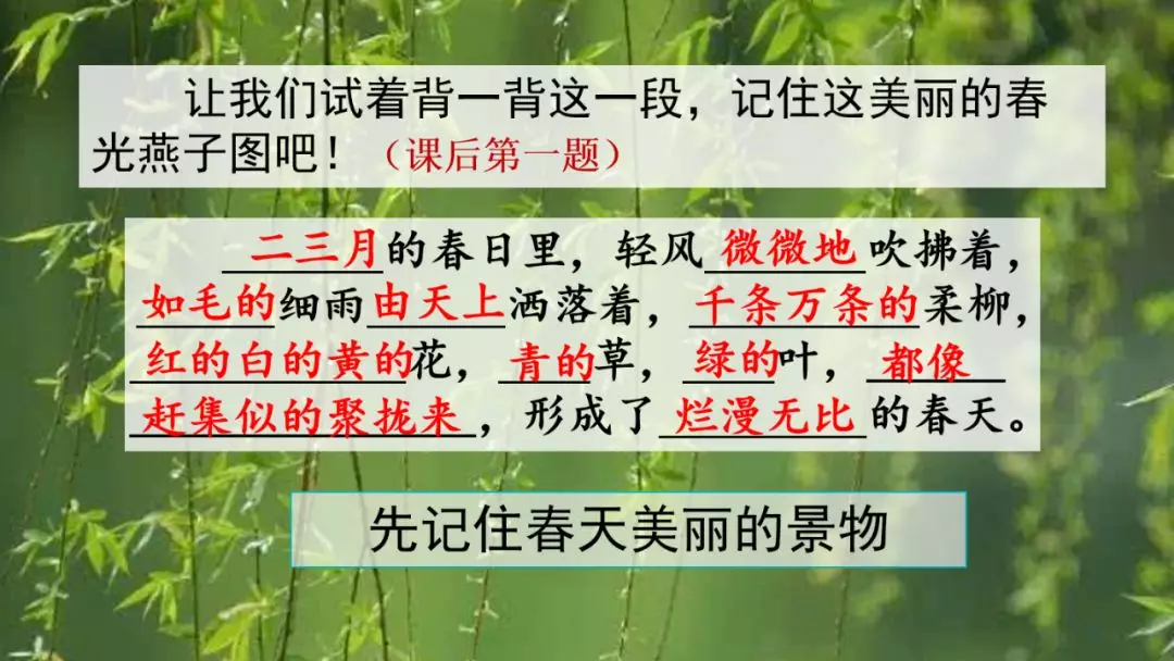 部编版三年级语文下册第二课《燕子》知识点及课堂测试题