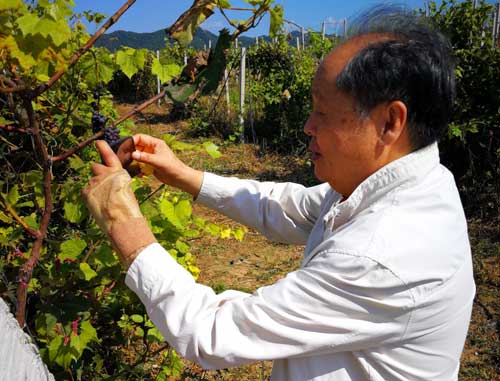 辽宁旅游：抚顺匆匆行散记（图）