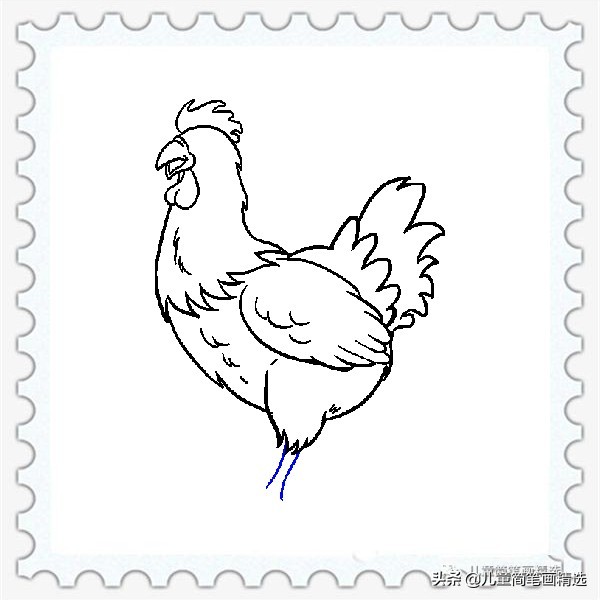 儿童简笔画精选【家禽家畜】-肉鸡（Chicken）的绘画教程