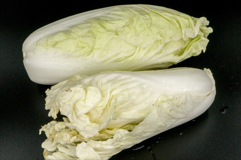 保存大白菜，切忌直接放地上，教你一个好办法，不脱水不烂叶