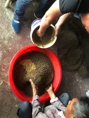加州鲈养殖常见溃疡病,正确处理方法你知道吗?这则案例值得一看