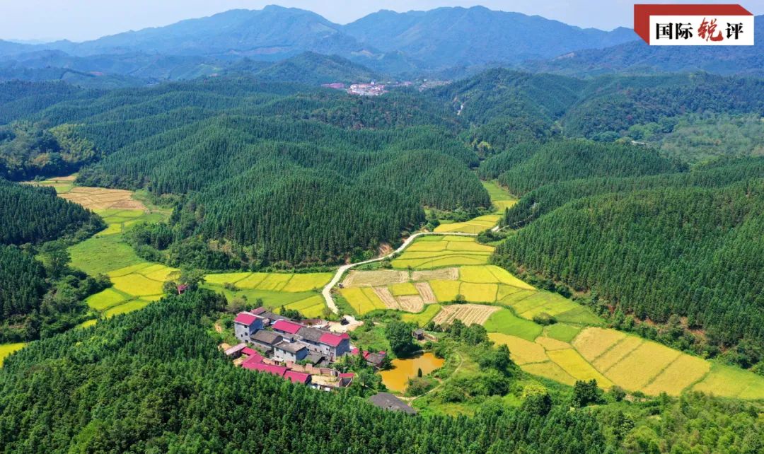 國(guó)際銳評(píng)丨構(gòu)建地球生命共同體“中國(guó)主張”指明方向貢獻(xiàn)力量