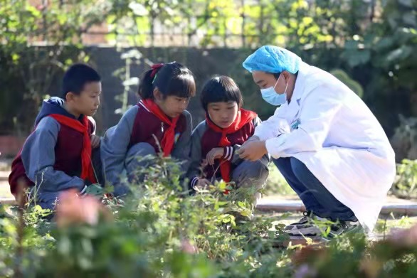 中医药文化走进校园 学生们体验传统文化魅力