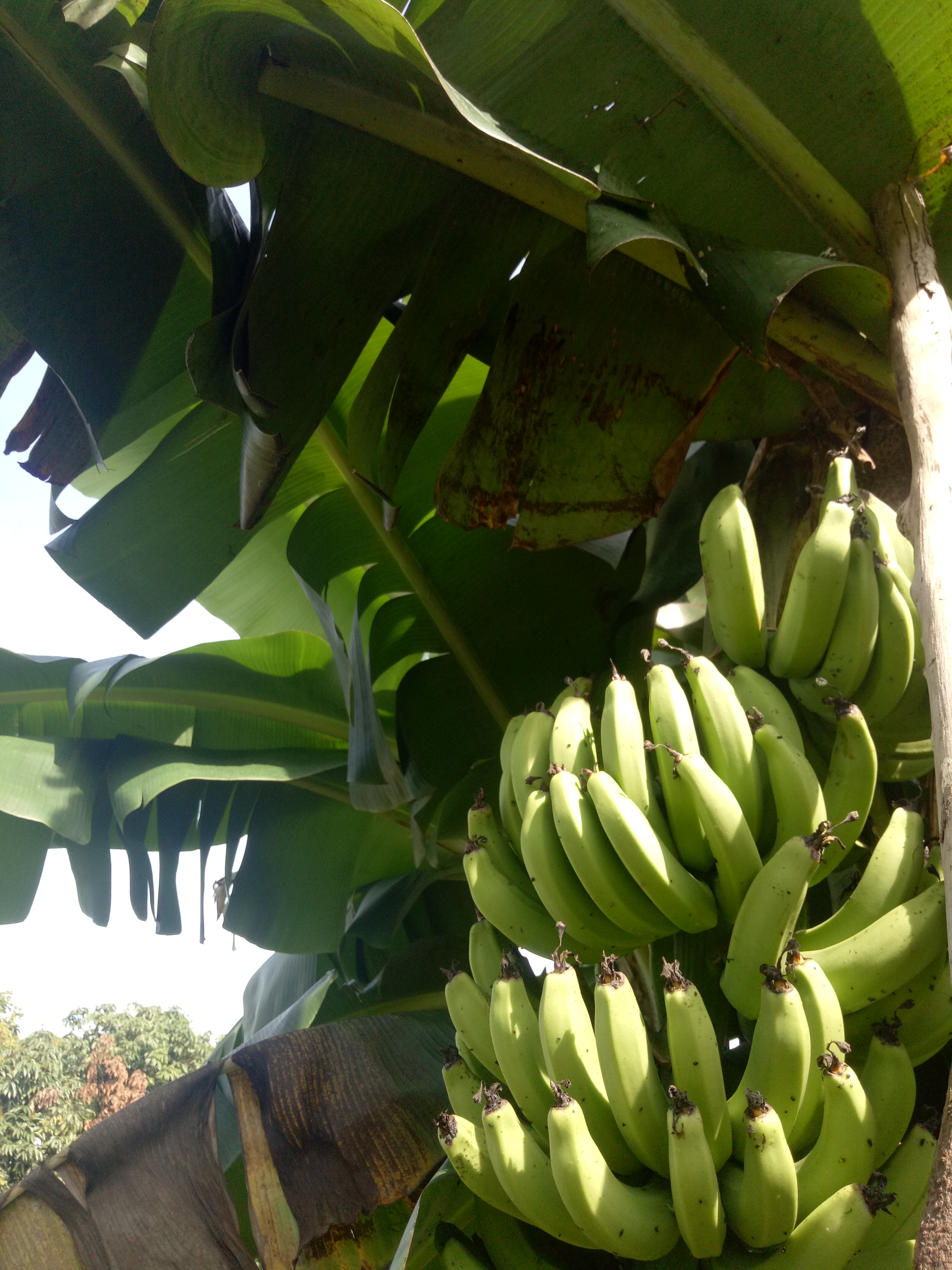 涩涩屋草莓榴莲秋葵绿巨人中文字幕最新消息动态公布-北斗民商大数据