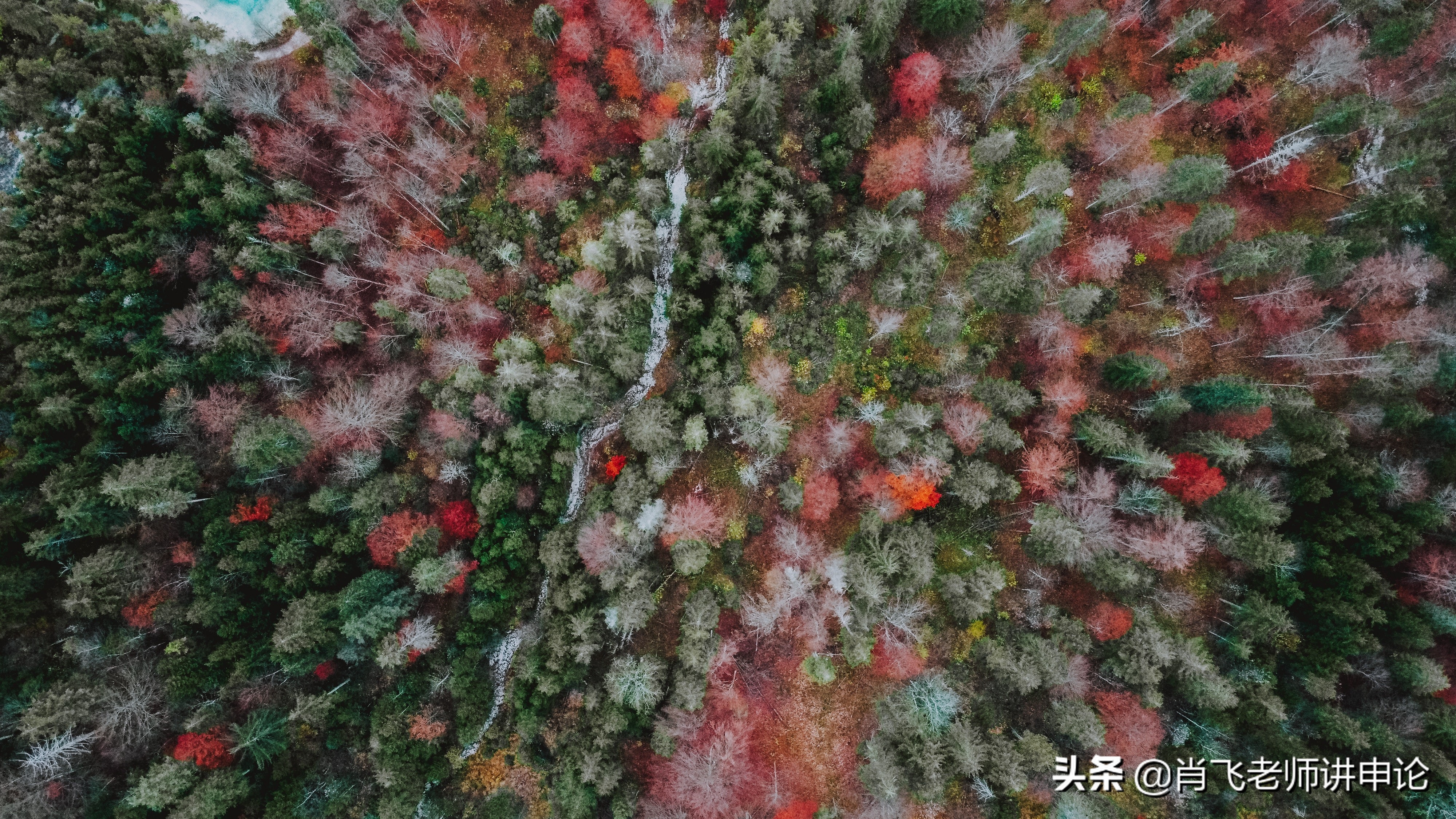 如何写报告？