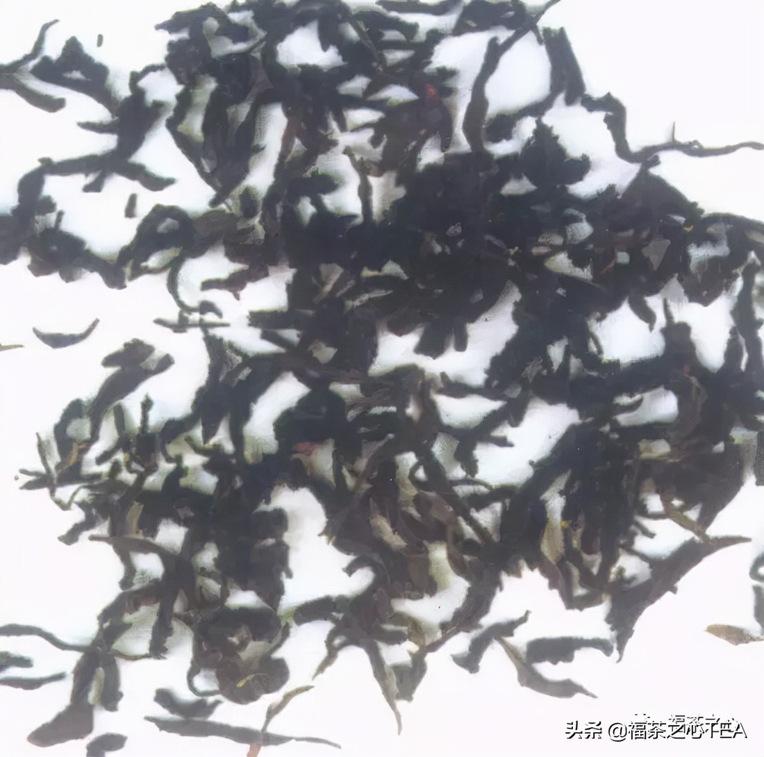 茶百科 | 中國茶葉分類大綱（收藏版）