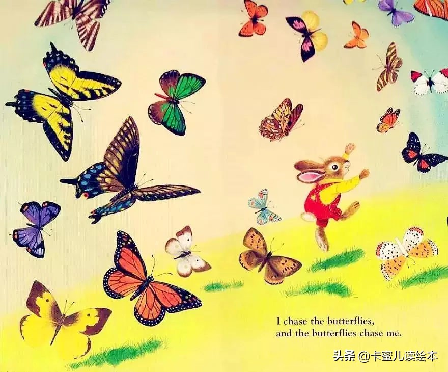 英文有声绘本《I am a bunny》我是一只小兔子