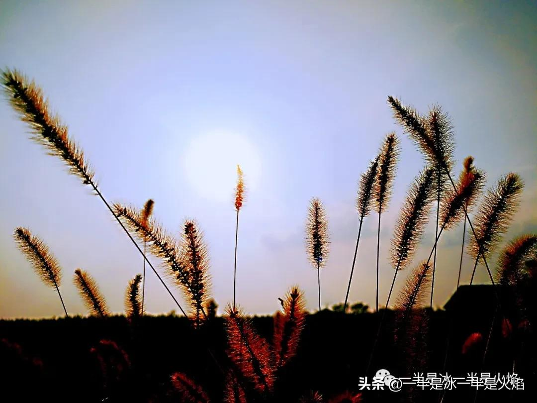 随笔：可不，貌似什么都一晃似的
