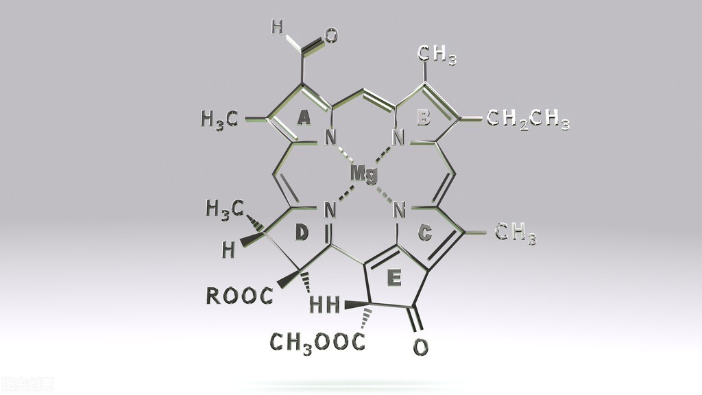 关于高三的第一轮复习，所有发自肺腑的话，请你加油