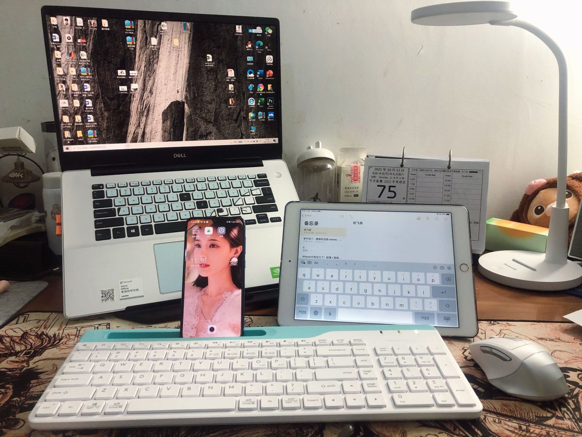 不到两百元，还要什么花里胡哨的键鼠！双飞燕难道不香吗？