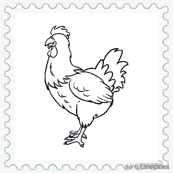 儿童简笔画精选【家禽家畜】-肉鸡（Chicken）的绘画教程