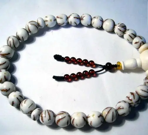 菩提子种类全详解（配图不易）