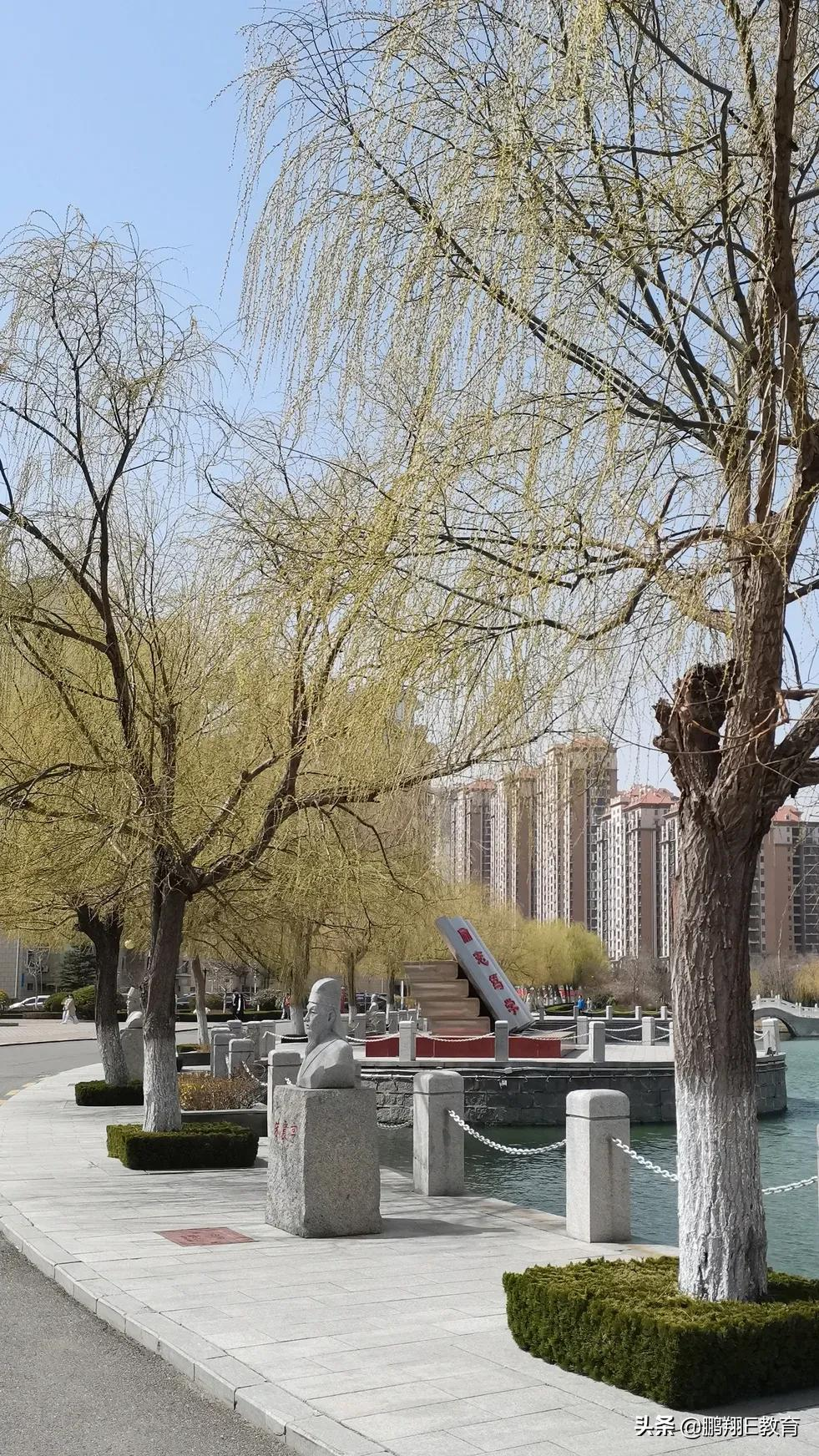 山东中医药高等专科学校校园专属图鉴，捕捉校园美好
