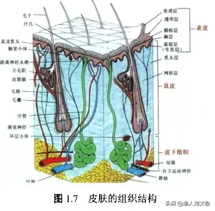 納米銀用于水產(chǎn)養(yǎng)殖有利或有弊否？納米銀是什么究竟有何奇特之處