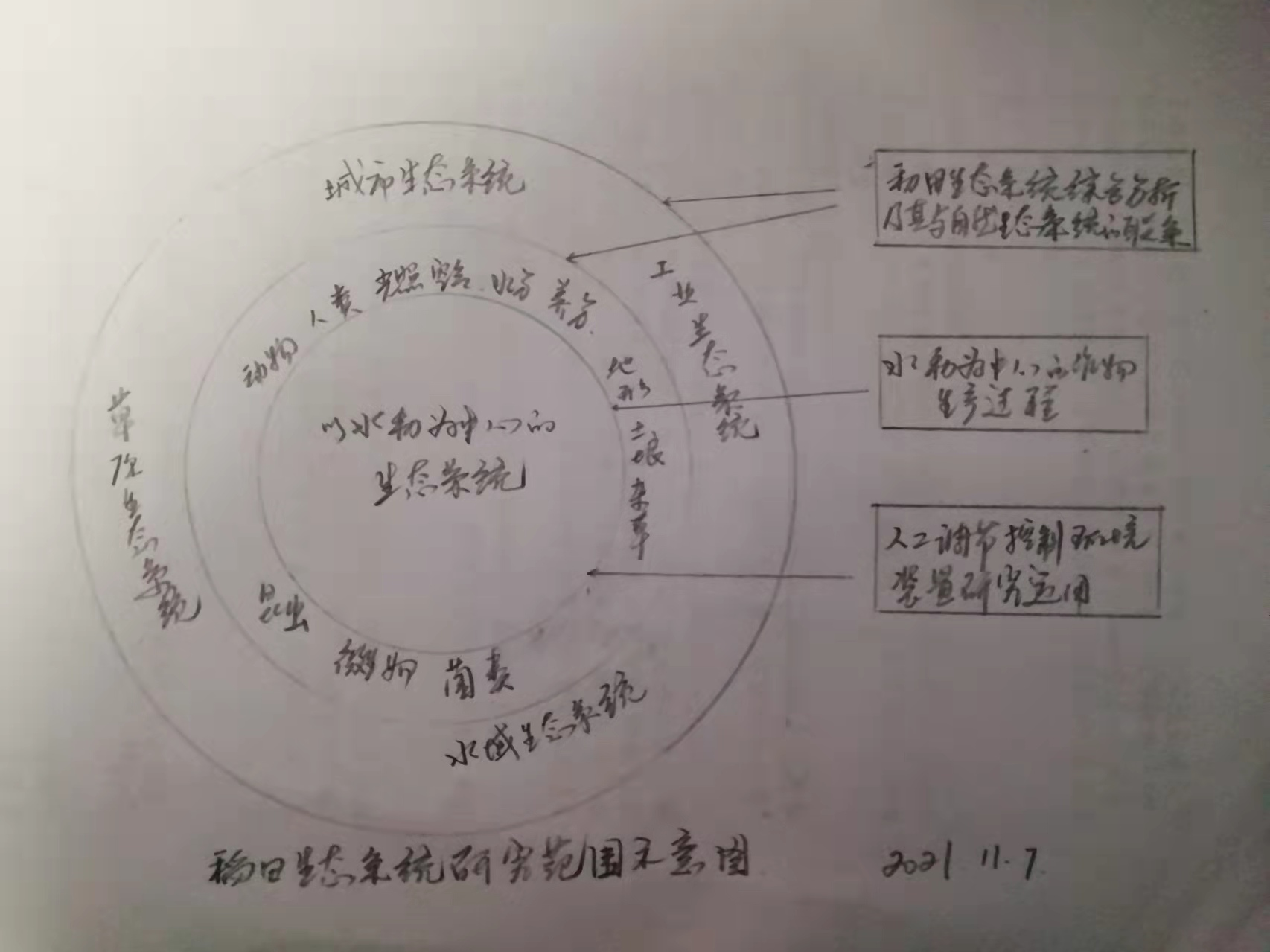 72、從水稻生態(tài)系統(tǒng)的能量轉(zhuǎn)化和物質(zhì)循環(huán)看水稻秸稈還田的重要性