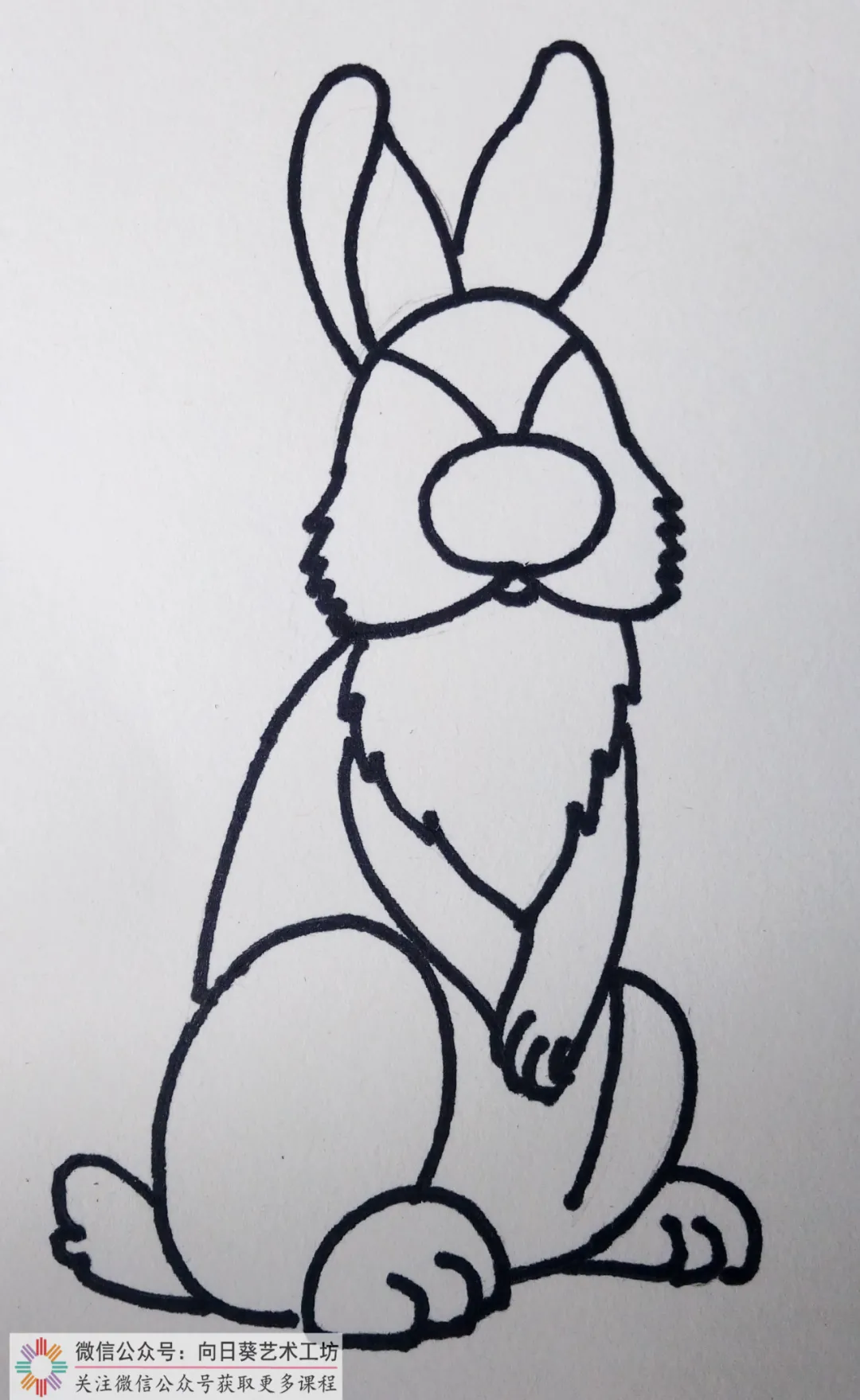 创意教程｜《线描小兔子》