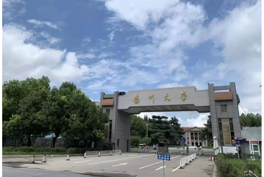 这3所高校并非双一流大学，但综合实力强，是很多江苏人的骄傲