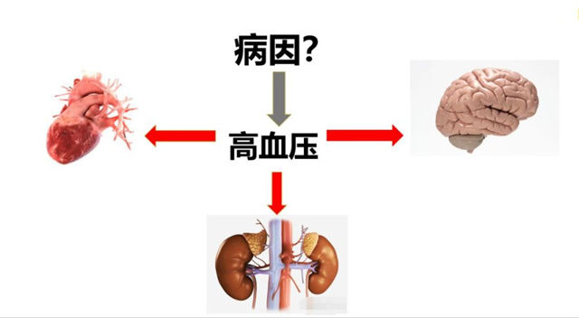 血压低,只有一百多,甚至一百不到,是心衰了吗?听听医生怎么说