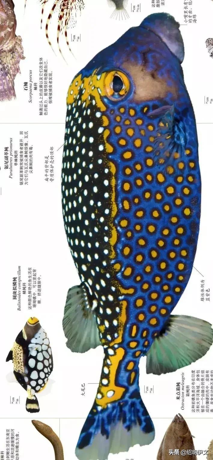 小学生家长问六一儿童节送什么礼物给孩子好，资深老师来告诉你
