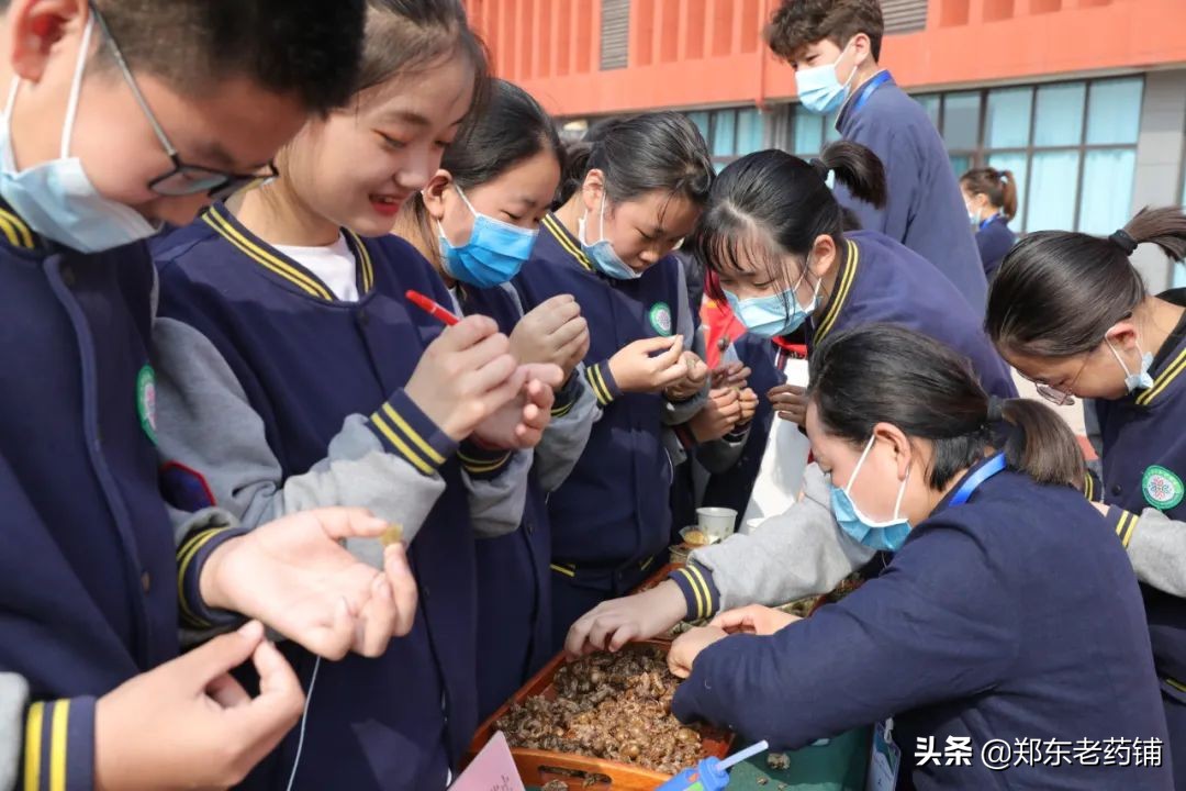 弘扬岐黄文化 感受中医药魅力