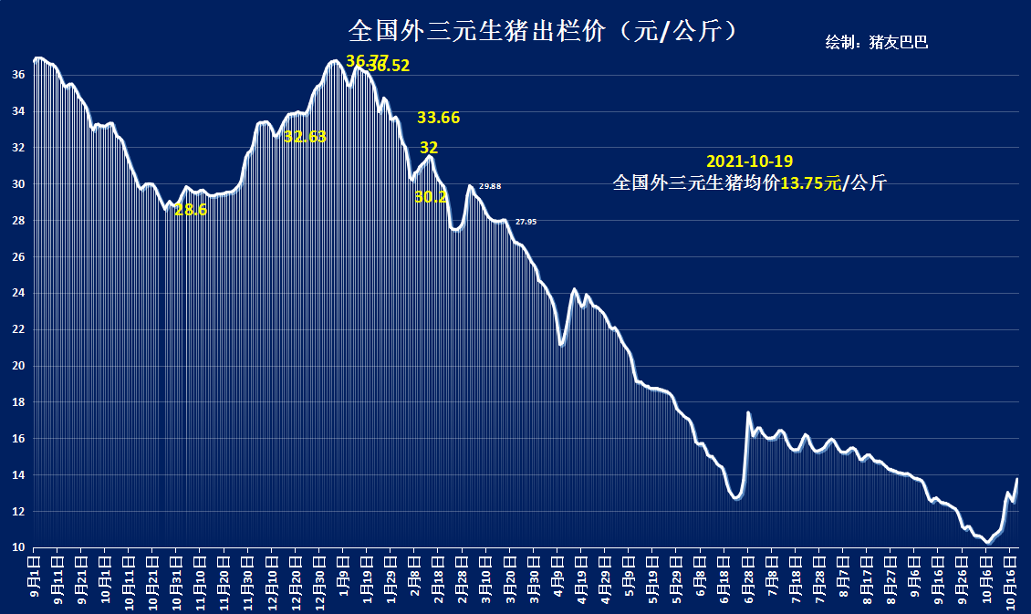 2天大涨9.3%，猪价横盘“7字头”，上涨逻辑是啥？10月19日猪价