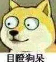 这是公认的最聪明犬种!三分钟看完牧羊犬喂养指南