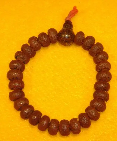 菩提子种类全详解（配图不易）