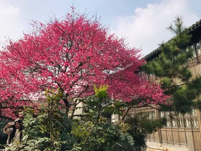 趣蜂江铃考斯特房车车友分享 - 买完房车第二次旅行（1）