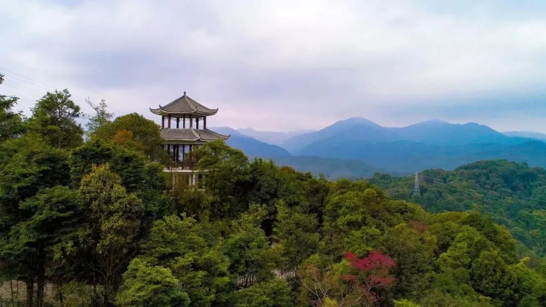 广东旅游景点(广东旅游景点攻略) 广东旅游景点(广东旅游景点攻略)