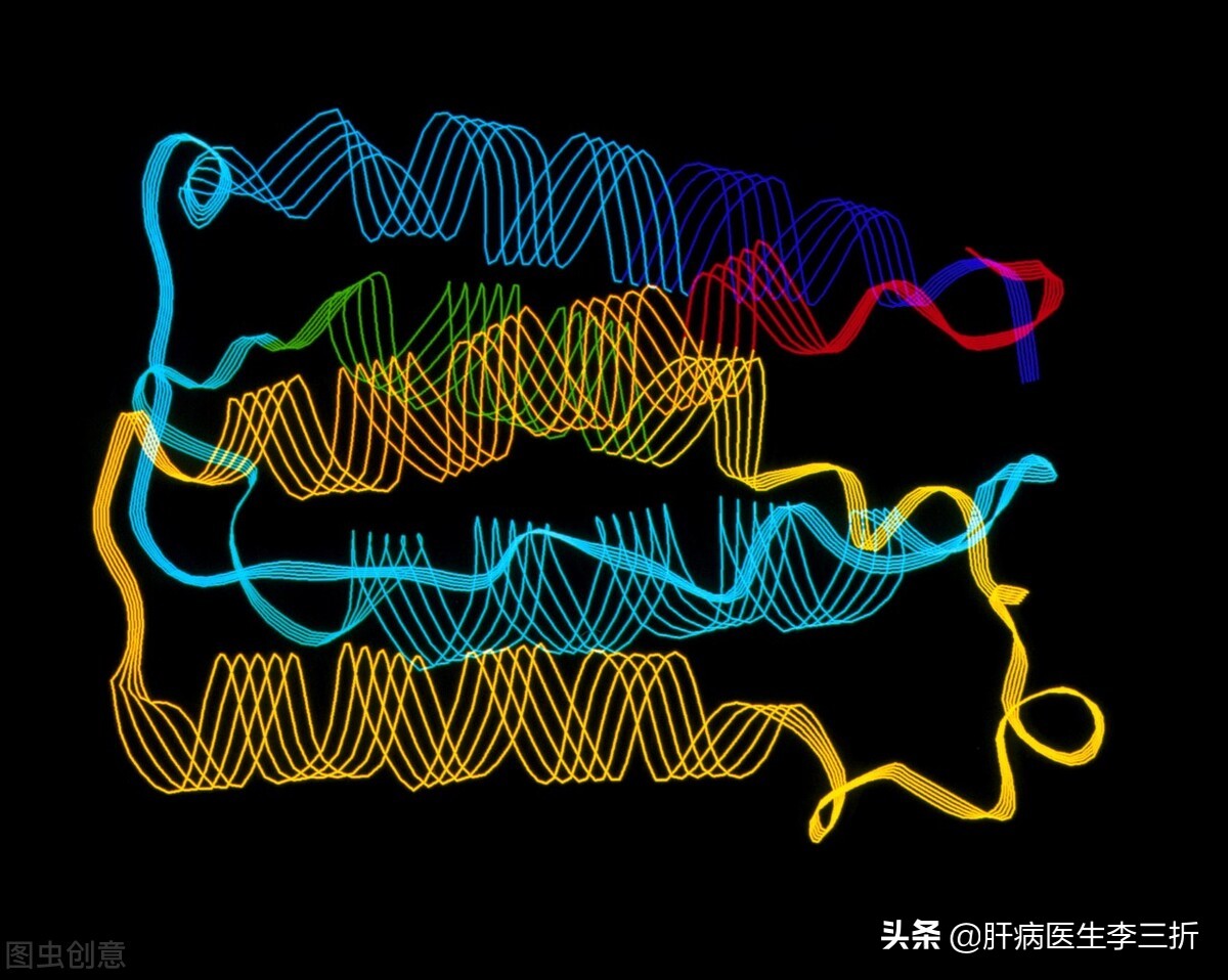 乙肝表面抗原定量：慢性乙型肝炎患者治疗监测的新工具