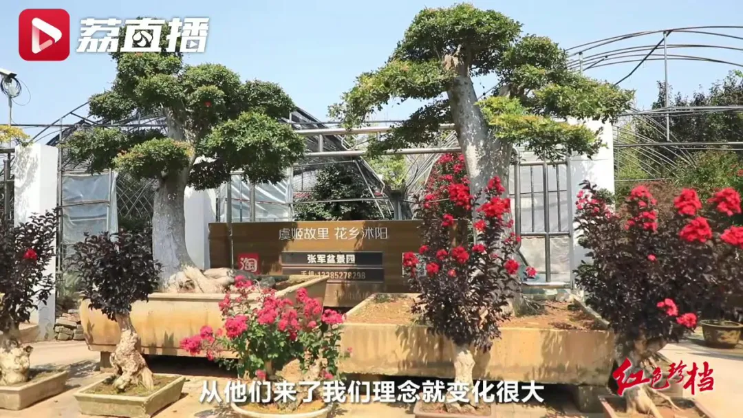 1992年的这份电报,给当时的江苏第一贫困县带来了重大转机