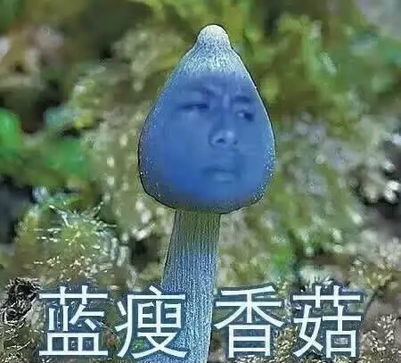 网络用语大揭秘 这些你都懂吗？