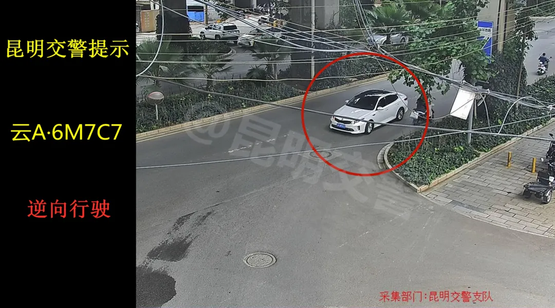 你知道怎样算闯红灯吗？ </p><p>　　 交通违法曝光第103期