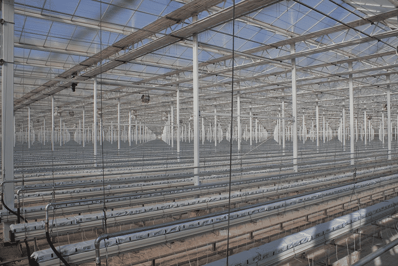 亚洲规模化单体规模智能玻璃连栋温室