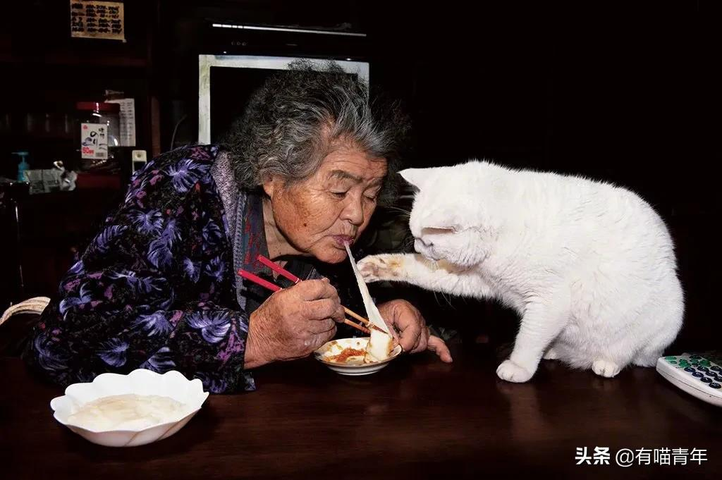 谢谢，福丸！再见，福丸