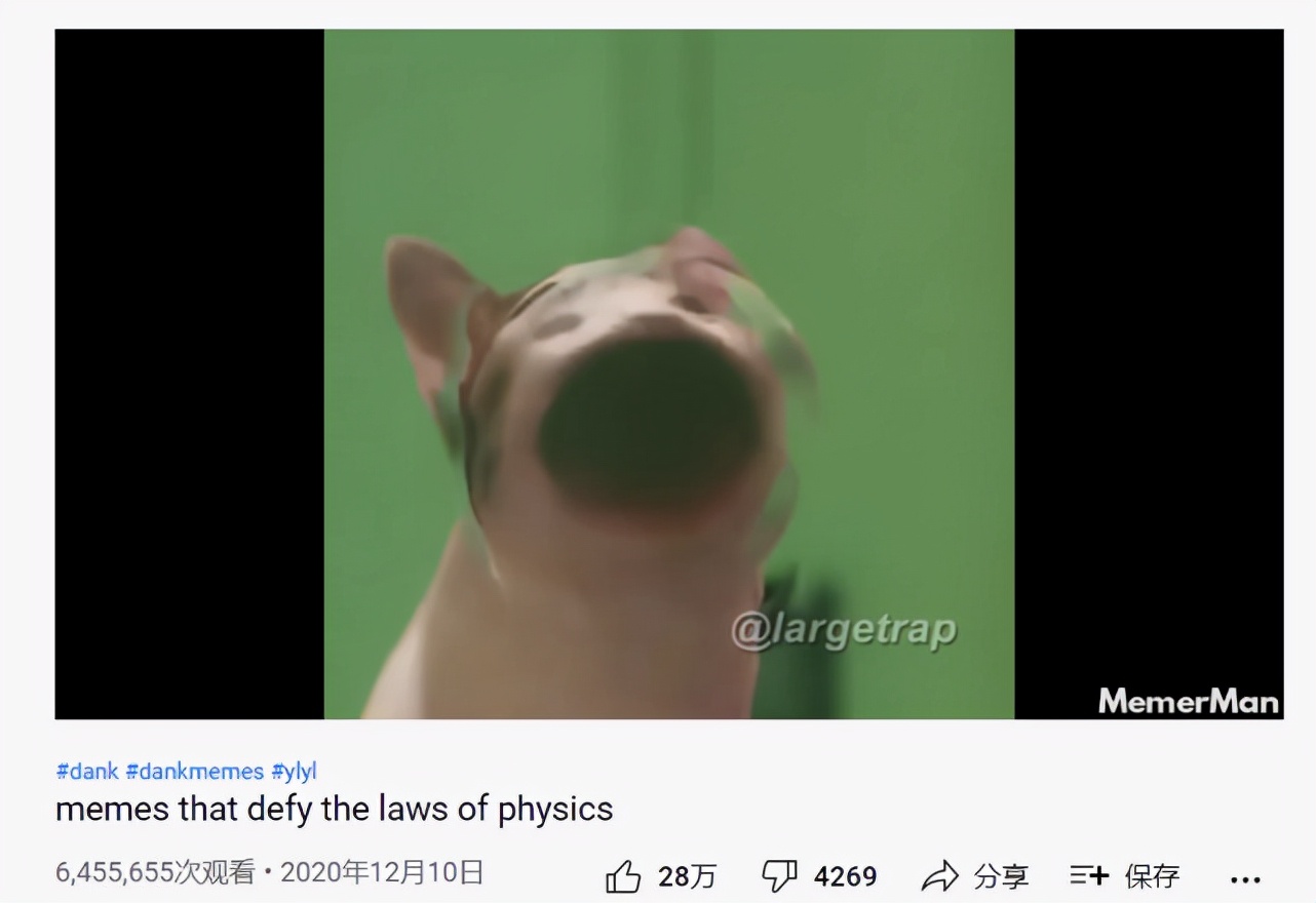 �й���Υ��������ѧ���ɡ���