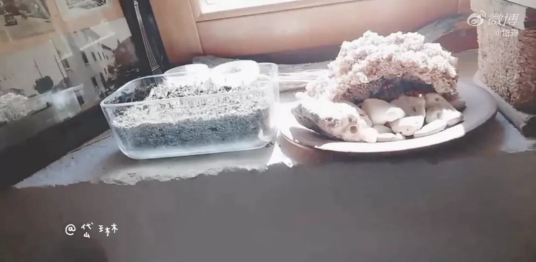 39岁女生未婚未育出国留学，就该被羞辱吗