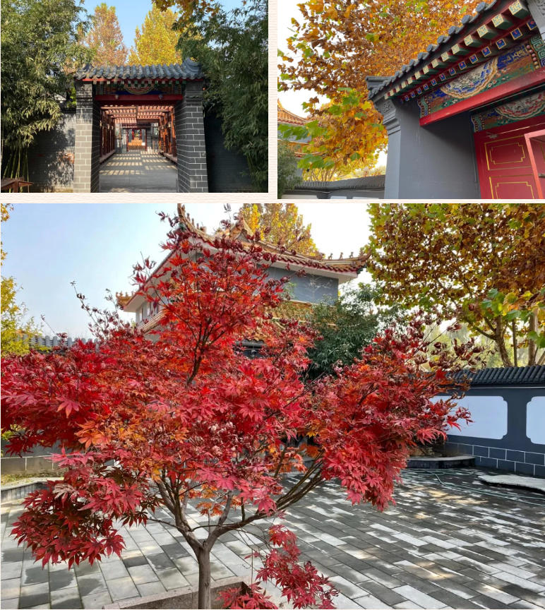 京郊养老胜地，在最美的秋季里，与时俱进
