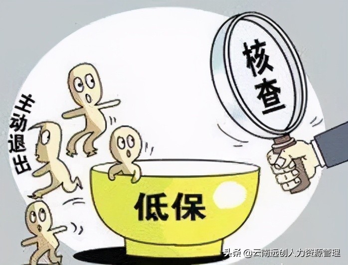 低保什么意思图片