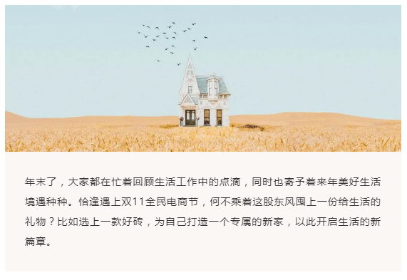 雙11力薦系列∣一磚一巖，不過一隅人間理想（文末有喜）