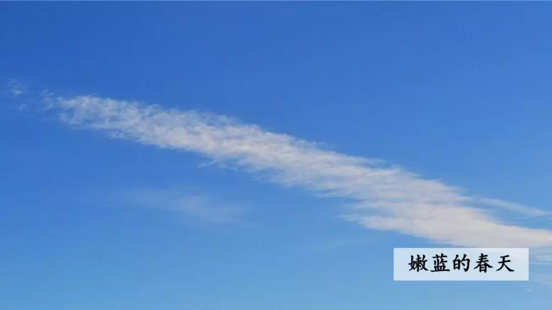 部编版三年级语文下册第二课《燕子》知识点及课堂测试题