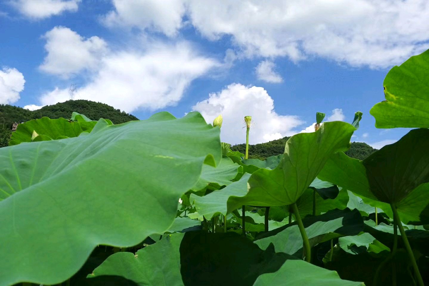 老實人，請適時亮出你的“獠牙”，懂得及時止損