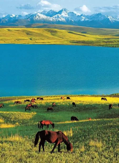 实践出真知！中考作文精品范文《长学问了》